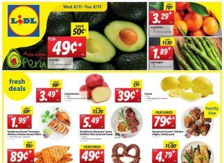 Lidl Weekly Ad Aug 11 – Aug 17, 2021