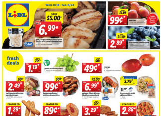 Lidl Weekly Ad Aug 18 – Aug 24, 2021