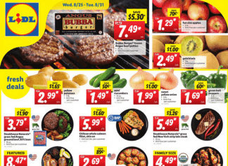 Lidl Weekly Ad Aug 25 – Aug 31, 2021