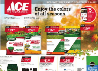 ACE Hardware Weekly Ad Sep 01 – Sep 30, 2021