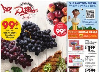 Dillons Weekly Ad Sep 15 – Sep 21, 2021 (Halloween Promotion Included)