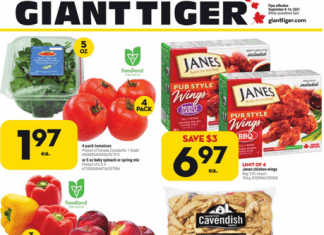 Giant Tiger Weekly Ad Sep 08 – Sep 14, 2021 (Halloween Promotion Included)