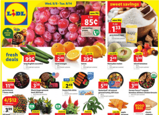 Lidl Weekly Ad Sep 08 – Sep 14, 2021