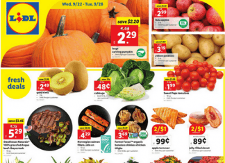 Lidl Weekly Ad Sep 22 – Sep 28, 2021 (Halloween Promotion Included)