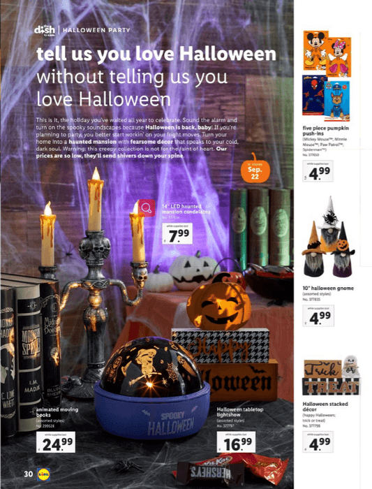 Lidl Halloween Catalogue