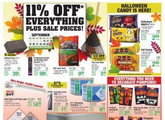 Menards Weekly Ad Sep 16 – Sep 25, 2021 (Halloween Promotion Included)