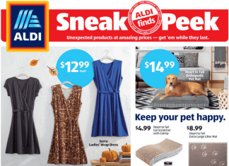 ALDI In-store Ad Sneak Peek Oct 13 – Oct 19, 2021