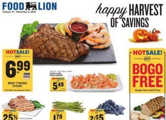 Food Lion Weekly Ad Oct 27 – Nov 02, 2021 (Halloween Promotion Included)