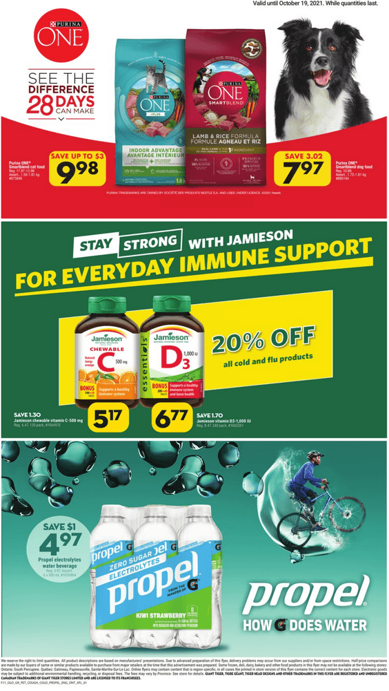 Giant Tiger Weekly Ad Oct 13 Oct 19, 2021 (Halloween Promotion Included)