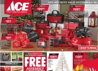 ACE Hardware Weekly Ad Nov 01 – Nov 31, 2021