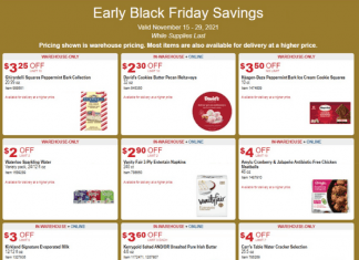 Costco Monthly Ad Nov 15 – Nov 29, 2021 (Pre-Black Friday Promotion Included)