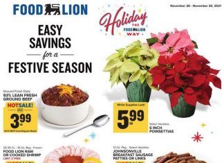 Food Lion Weekly Ad Nov 26 – Nov 30, 2021 (Christmas Promotion Included)