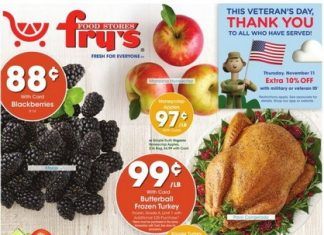 Fry’s Food Weekly Ad Nov 10 – Nov 16, 2021 (Black Friday Promotion Included)