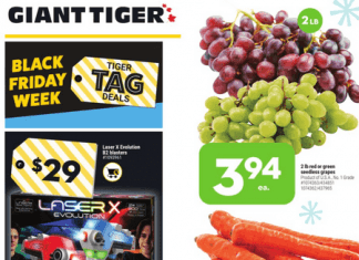 Giant Tiger Weekly Ad Nov 24 – Nov 30, 2021 (Black Friday Promotion Included)