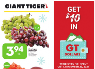 Giant Tiger Weekly Ad Nov 10 – Nov 16, 2021