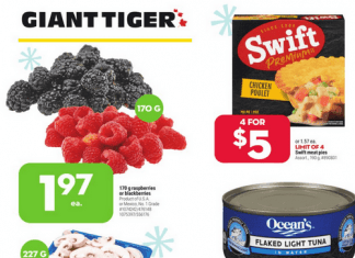 Giant Tiger Weekly Ad Nov 17 – Nov 23, 2021 (Black Friday Promotion Included)