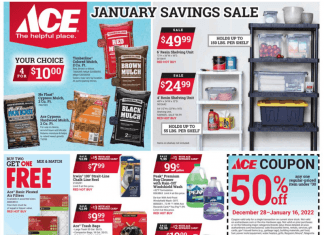 ACE Hardware Monthly Ad Dec 28, 2021 – Jan 16, 2022