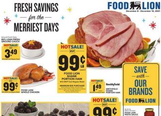 Food Lion Weekly Ad Dec 08 – Dec 14, 2021