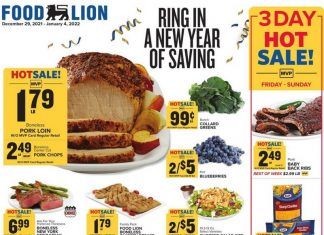 Food Lion Weekly Ad Dec 29, 2021 – Jan 04, 2022