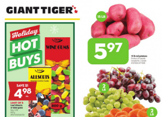 Giant Tiger Weekly Ad Dec 08 – Dec 14, 2021