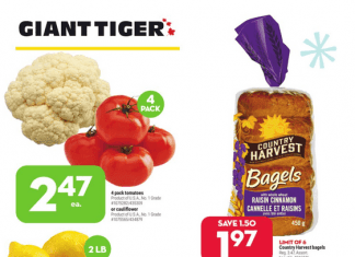 Giant Tiger Weekly Ad Dec 22 – Dec 28, 2021