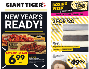 Giant Tiger Weekly Ad Dec 29, 2021 – Jan 04, 2022