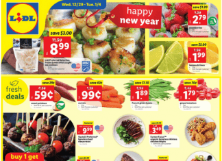 Lidl Weekly Ad Dec 29, 2021 – Jan 04, 2022