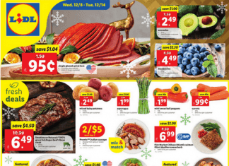 Lidl Weekly Ad Dec 08 – Dec 14, 2021