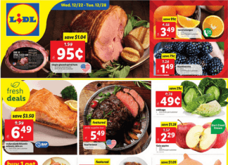 Lidl Weekly Ad Dec 22 – Dec 28, 2021