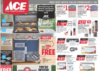 ACE Hardware Monthly Ad Feb 01 – Feb 28, 2022