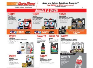 AutoZone Monthly Circular Feb 08 – Mar 07, 2022