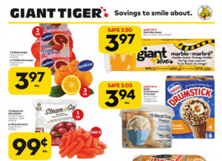 Giant Tiger Weekly Ad Feb 16 – Feb 22, 2022