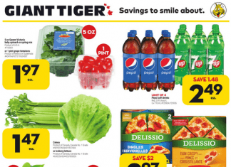 Giant Tiger Weekly Ad Feb 23 – Mar 01, 2022