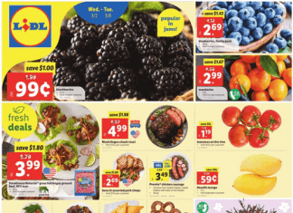 Lidl Weekly Ad Mar 02 – Mar 08, 2022