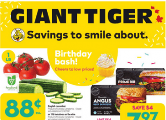 Giant Tiger Weekly Ad Apr 20 – Apr 26, 2022