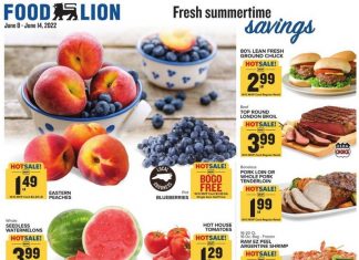 Food Lion Weekly Ad Jun 08 – Jun 14, 2022