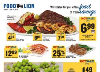 Food Lion Weekly Ad Jun 15 – Jun 21, 2022
