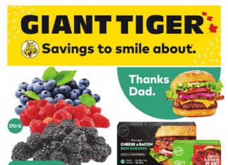 Giant Tiger Weekly Ad Jun 15 – Jun 21, 2022
