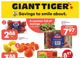 Giant Tiger Weekly Ad Jul 20 – Jul 26, 2022