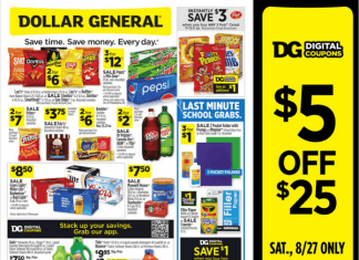 Dollar General Weekly Ad Aug 21 – Aug 27, 2022
