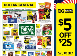 Dollar General Weekly Ad Aug 28 – Sep 03, 2022