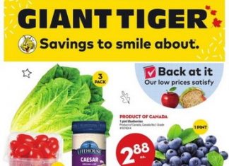 Giant Tiger Weekly Ad Aug 24 – Aug 30, 2022