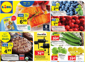 Lidl Weekly Ad Aug 24 – Aug 30, 2022