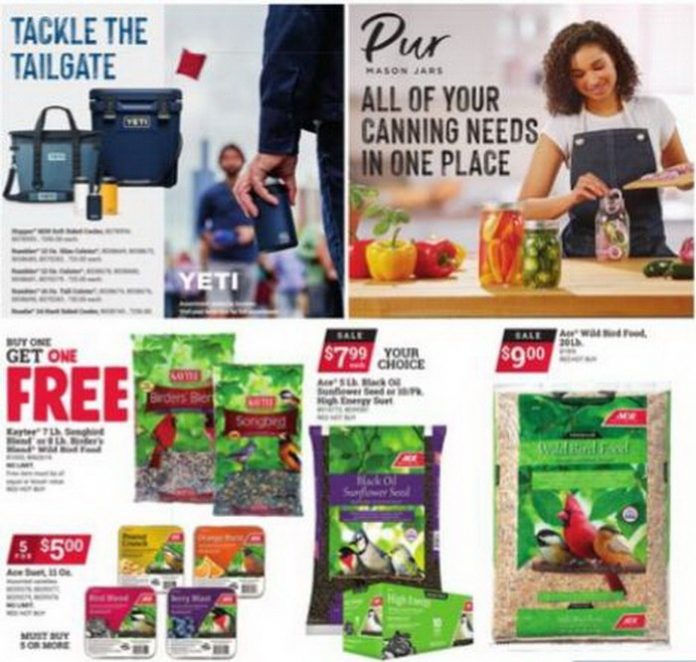 ACE Hardware Labor Day Saving Event Ad Sep 01 Sep 12, 2022