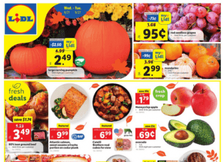 Lidl Weekly Ad Sep 21 – Sep 27, 2022 (Halloween Promotion Included)
