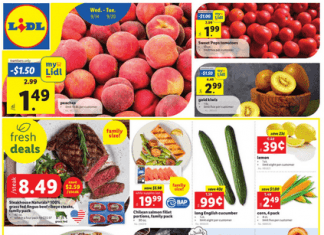 Lidl Weekly Ad Sep 14 – Sep 20, 2022 (Halloween Promotion Included)