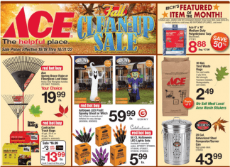 ACE Hardware Fall Clean-Up Sale Oct 18 – Oct 31, 2022 (Halloween Promotion Included)