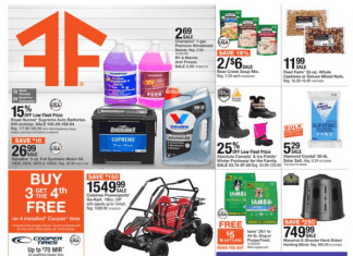 Fleet Farm Weekly Ad Oct 14 – Oct 22, 2022 (Halloween Promotion Included)