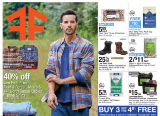 Fleet Farm Weekly Ad Oct 21 – Oct 29, 2022 (Black Friday Promotion Included)