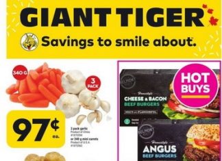 Giant Tiger Weekly Ad Oct 19 – Oct 25, 2022